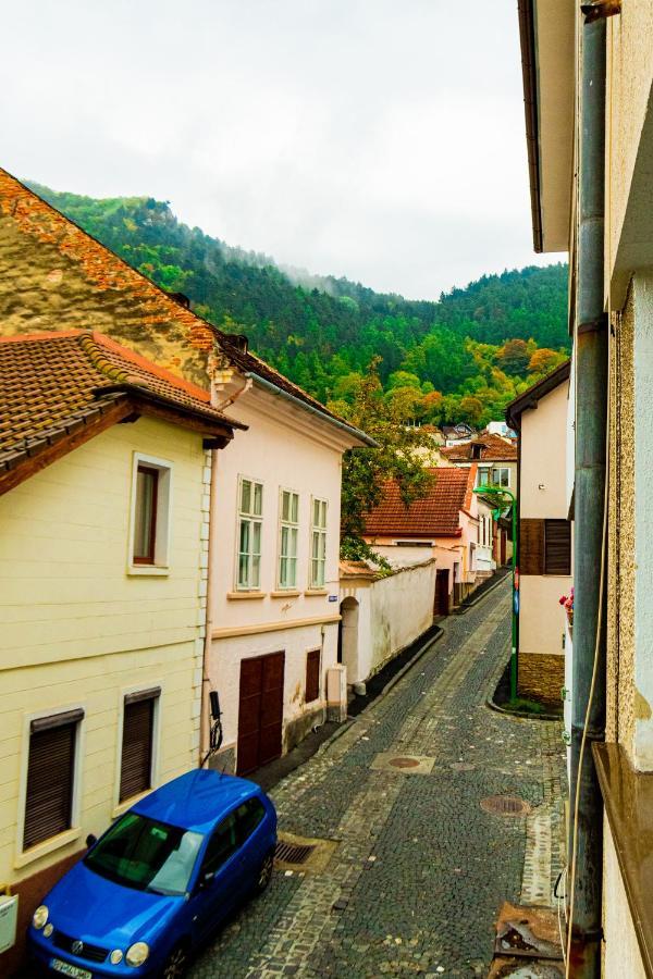 Ardor Apt - Bright And Secluded Apartment In The Heart Of Old Town Brasov Luaran gambar
